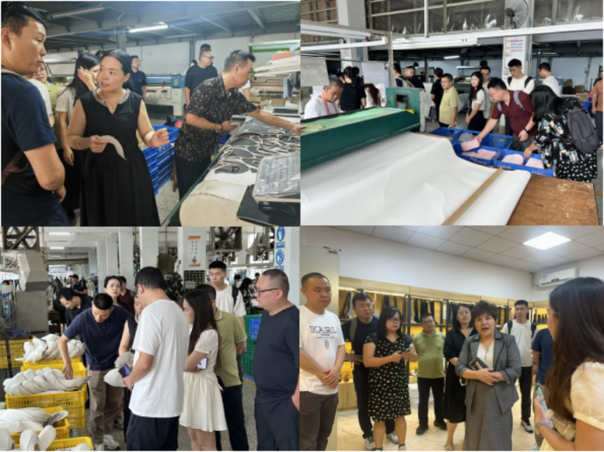 “惠东女鞋·跨境扬帆”——2025年“跨境电商+惠州市惠东县女鞋产业带”助力“百千万工程”专场活动在深启动,助推鞋业出海新路径(图5) “惠东女鞋·跨境扬帆”——2025年“跨境电商+惠州市惠东县女鞋产业带”助力“百千万工程”专场活动在深启动,助推鞋业出海新路径(图5)